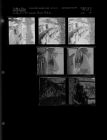 Snow Pictures (7 Negatives), January 10-11, 1962 [Sleeve 20, Folder a, Box 27]